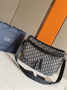 DIOR Handbags 1054